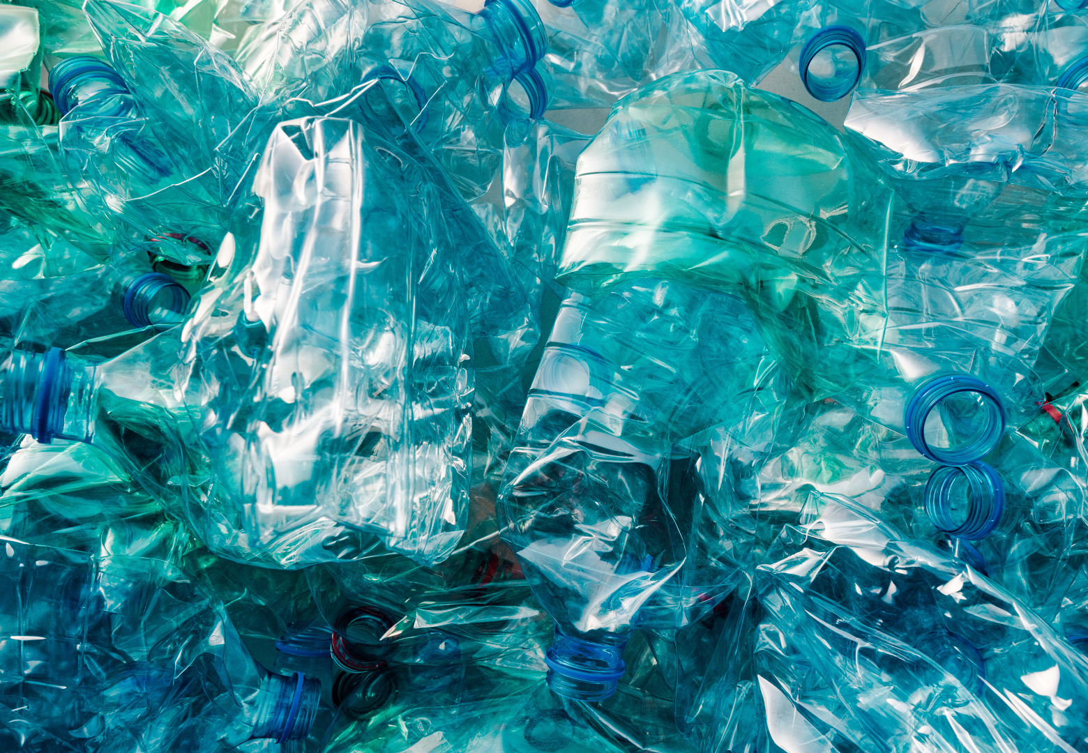 ENZYME INNOVATION TO FIGHT PLASTIC POLLUTION